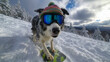 © Darya - A cool dog rides a snowboard in a winter forest, wearing a bright hat and ski goggles