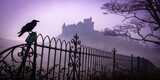 Black raven perching on a wrought iron fence in front of a spooky castle shrouded in fog at twilight, creating a mysterious and evocative halloween scene
