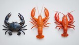 Illustration of three cooked crustaceans blue crab on left, orange lobster, red crawfish crayfish on right, presented on white background. Seafood icons represent natural ingredients perfect for