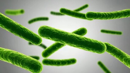 Wall Mural -  Gen-4 Turbo Intestinal probiotics promote intestinal peristalsis, green probiotics clean up stool, activate intestinal motility, and remove toxins 
