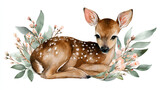 Cute baby deer animal for kindergarten, nursery isolated illustration for children clothing, pattern. Watercolor Hand drawn boho image forest woodland poster baby shower Stock Illustration