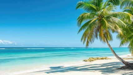 Wall Mural - Two palm trees standing on a sunny beach near the ocean