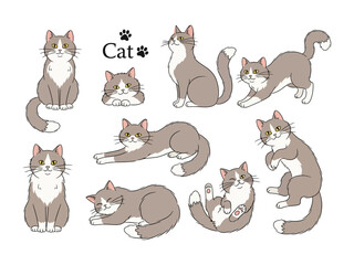  Playful Cat Set: An adorable illustration showcases a collection of cartoon cats, each with unique poses and expressions, perfectly capturing the charm of domestic feline companions.