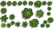 © Dual Studio - Top view different plants and trees vector set for architectural or landscape design