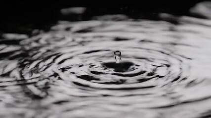 Wall Mural - Close Up Water Drop Impact: Monochrome Ripple Pattern on Dark Surface, Detailed Texture, High Contrast Black and White Still Photography, Abstract