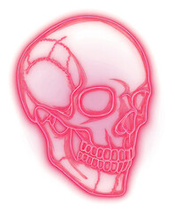 Canvas Print - png skull neon illustration background.