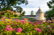 Bright pink flowers on the background of the towers of the Pskov Kremlin, Pskov, Russia