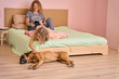 © alvaro - Girl petting dog while mother uses tablet in bedroom