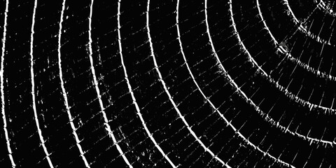 Abstract grunge textured spider web pattern in black and white