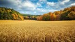 © Chotijah - Golden wheat field stretches towards a vibrant autumn forest.