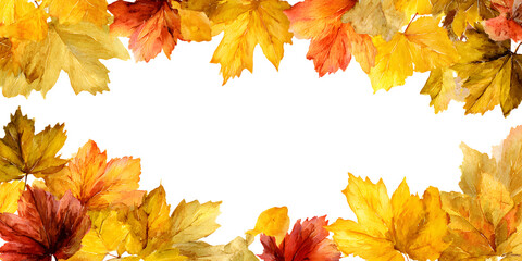 Poster - Watercolor yellow and orange maple leaves boarder on a white background
