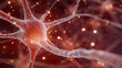 © Wasin Arsasoi - Microscopic Neuronal Network: Captivating macro shot of a neuron, showcasing its intricate structure and glowing energy that forms the human brain, representing concept of thinking.