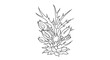 © Handrey - Outline drawing of floral arrangement with buds and leaves for coloring page or design projects use, vector art