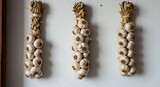 Harvested garlic braids hang elegantly on a textured white wall, evoking rustic charm and culinary inspiration.