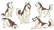 © FC Smooth - Five Poses of a Cartoon Siberian Husky Dog.