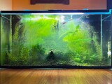 160_f_1637854153_hrxagaggycmeuc4tavcf6vithene3sqr