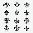 © SAJIB - Fleur de lys rococo Black and White Stock vector design