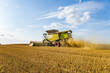 © SMK - A combine harvester works efficiently in a golden field, gathering ripe crops as dust rises against a vibrant sky, showcasing agricultural activity