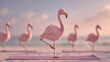© NOBLE  MAN - Pink Flamingo Doing Yoga Pose on Beach at Sunset