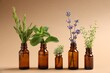 © New Africa - Essential oils with different plants in bottles on beige background