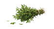 © roza.png - Closeup shot of fresh thyme bundle isolated on transparent background, showcasing its vibrant green leaves and delicate stems, perfect for culinary and herbal applications