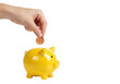 © Graphic Genius - Saving money hand inserting coin into yellow piggy bank indoor bright setting perspective. Cut out png