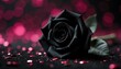 © Pixor2 - Stunning black rose with elegant dew drops and soft pink bokeh background creates a dramatic romantic mood