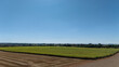 © EDBS - plantação de cana-de-açúcar vista de cima