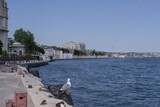 Dolmabahçe Palace waterfront view in Istanbul, Turkey, with Bosphorus Strait and cityscape in the distance. Summer sunny day with boats, seagulls, and blue water of the sea.
