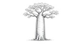 Detailed Baobab Tree Sketch Illustration