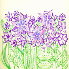 Wall Mural - Summer garden flowers with purple petals and green leaves. Hand drawn image