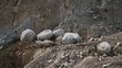 © AImmersive Imagery - Massive white rocks scattered on the mountain after a landslide, no people present