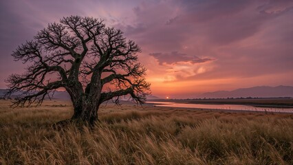 Wall Mural - A lone towering tree in a wide open plain beside a water body at dusk, enveloped in thick smoke and dust.