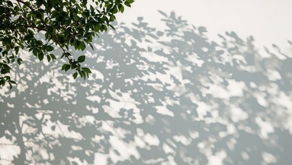 Wall Mural - silhouettes of foliage cast on a plain white wall producing an artistic nature backdrop