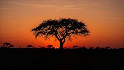 Wall Mural - silhouette of a tree against a fiery evening sky