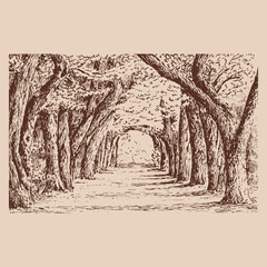 Wall Mural - Alley. Hand drawn vector illustration.
