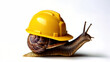 © Александр Марченко - Snail wearing yellow hard hat on white background: slow construction, safety first