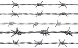 Multiple parallel lines of barbed wire