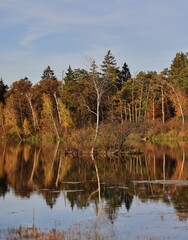 Wall Mural - autumn landscape with lake reflection.