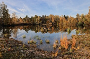 Wall Mural - autumn landscape with lake reflections.
