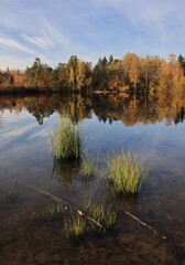 Wall Mural - serene autumn lakeside reflection