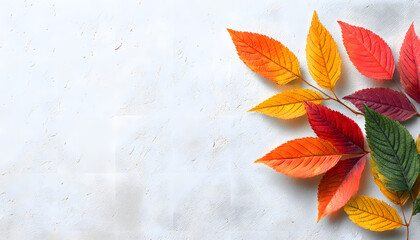 Wall Mural - colorful autumn leaves on a white textured background create a natural, organic feel. ideal for seas
