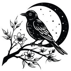 vector illustration of a bird