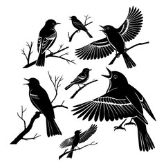 set of acadian flycatcher bird silhouette illustrations perched on and flying off branches