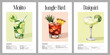 © DELstudio - Rum cocktail poster set with watercolor Mojito, Jungle Bird, and Daiquiri recipes. Modern printable kitchen decor featuring classic tropical drinks with fresh ingredients and minimalist design.