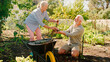 © Monkey Business - Retired Senior Couple Working In Vegetable Garden Or Allotment With Barrow At Home Picking Beetroot