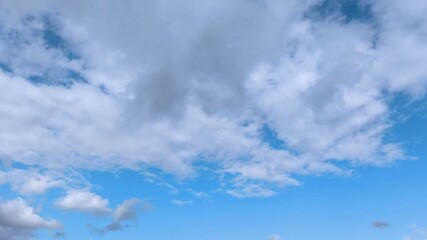 Wall Mural - large and curious whitish cumulus clouds in afternoon