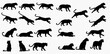 © Adji - A collection of black wild cat silhouettes in various dynamic poses like walking, jumping, sitting, and lying down.