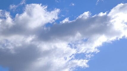 Wall Mural - light-filled cumulus in the bright sky