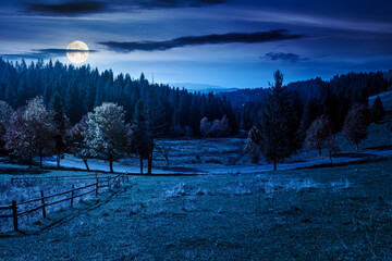 Wall Mural - countryside mountain landscape in autumn at night. rural road winding through valley among field and trees on the hill. scenic vista in fall season for travel and outdoor adventure in full moon light